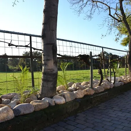 Vakantiehuis La Masia Del Jou Vell